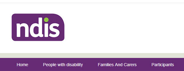 What is the NDIS?